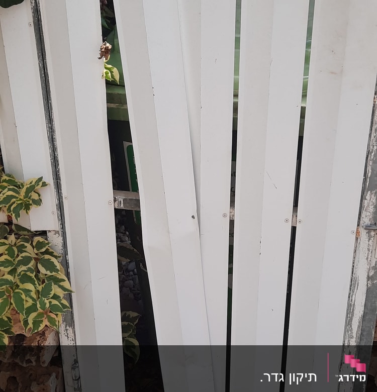 שער עץ לבן עם לוחות שבורים